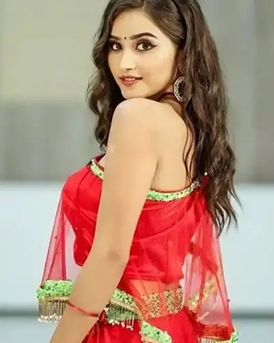 Escort In Sardarshahar